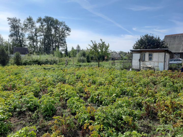 Дача 10 м² на участке 4,5 сот.