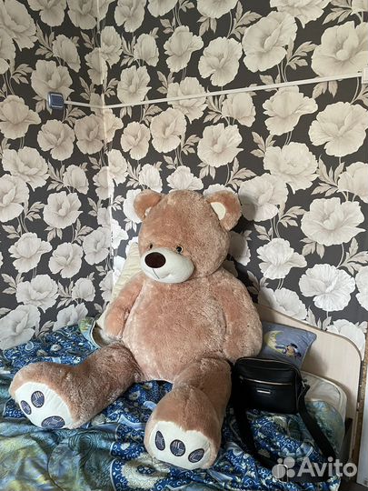 Огромный плюшевый медведь