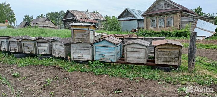 Улей для пчел бу