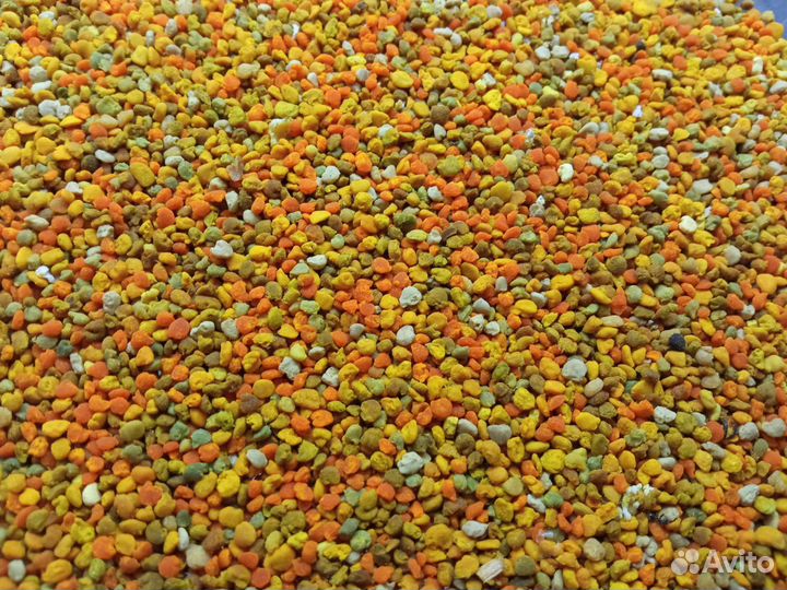 Трутневый гомогенат, огневка, пыльца