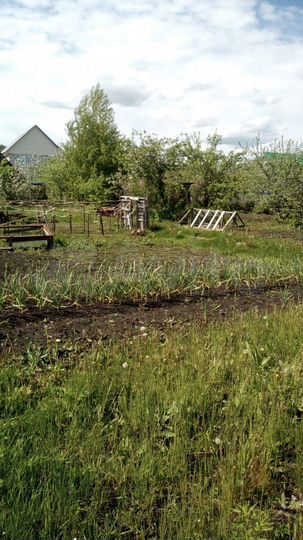 Участок 6 сот. (СНТ, ДНП)