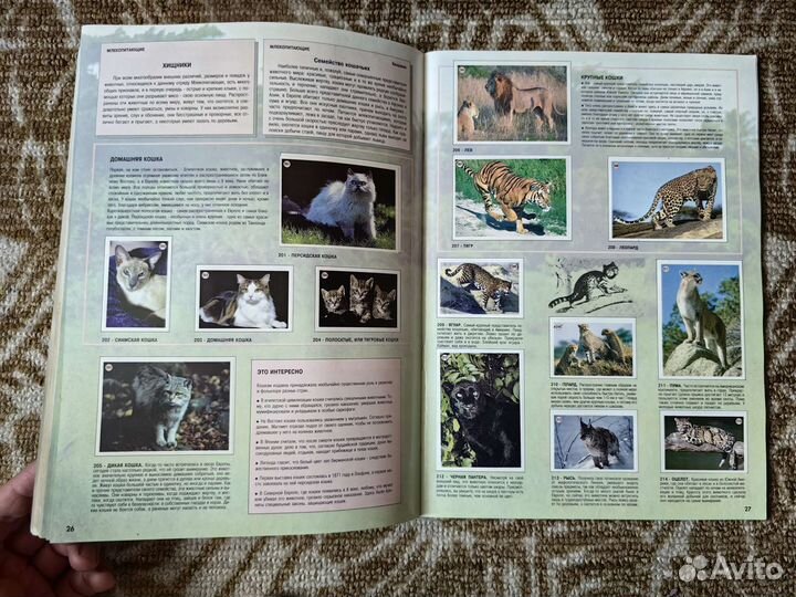 Мир живого Edis заполненный альбом