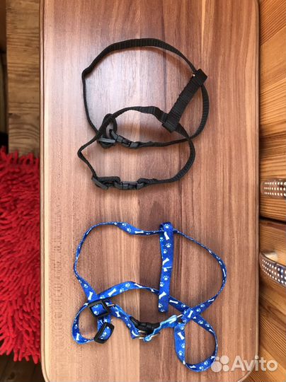 Шлейка для чихуахуа