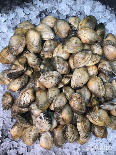 Лангустины без головы