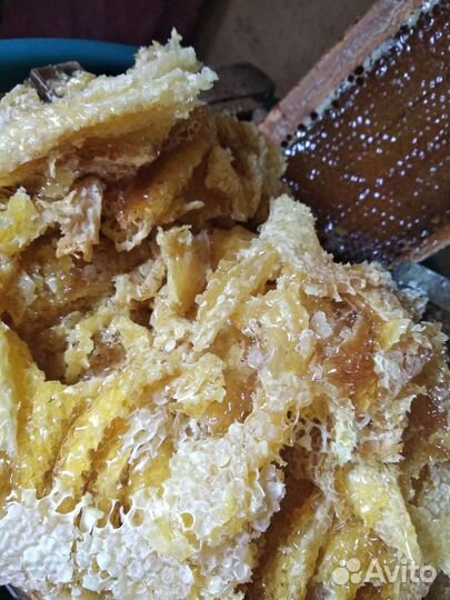 Мёд липовый и цветочный