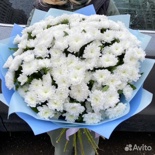 Букет 283 Хризантемы белые 35 шт