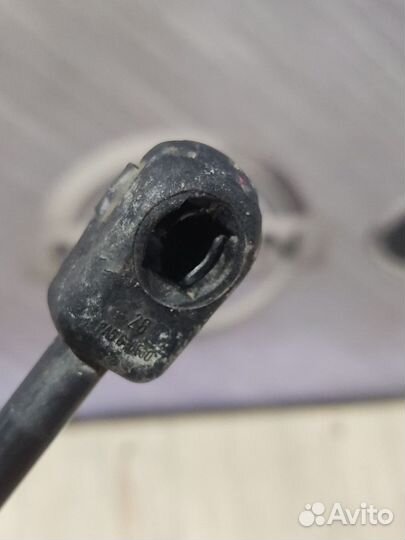 Амортизатор стойка багажника Nissan primera P12 Ле