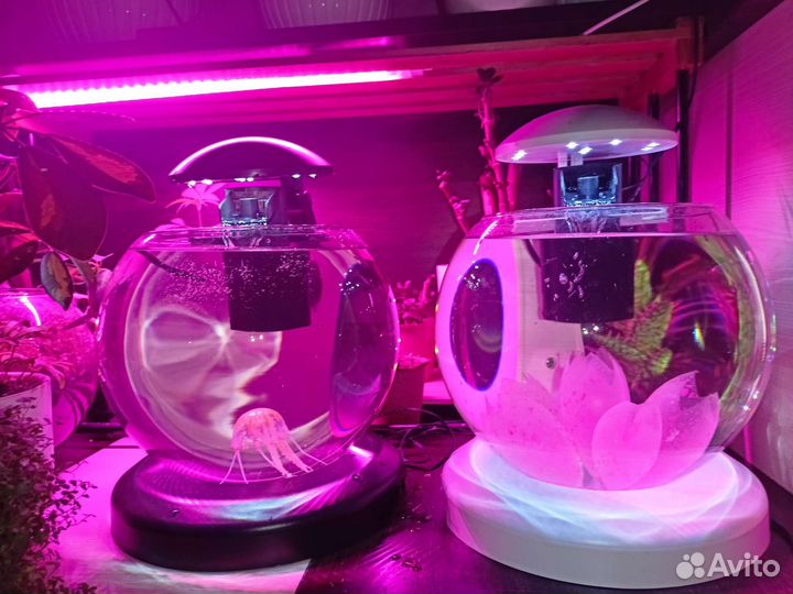 Аквариум Tetra Globe 6,8л белые