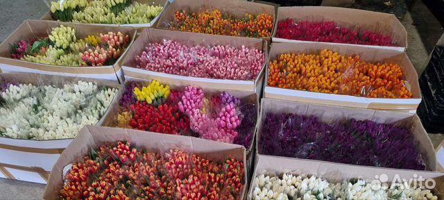 Флорист, помошник Флориста, продавец