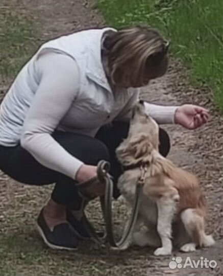 Альма ищет дом