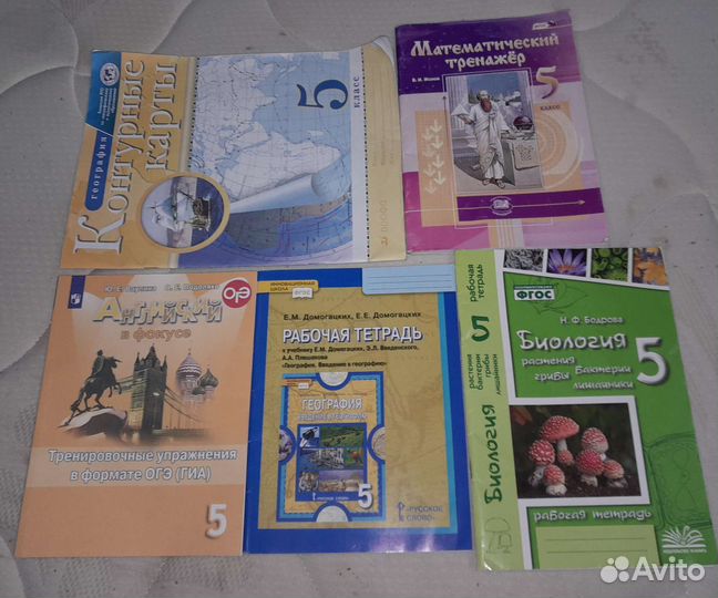Рабочии тетради за 5 класс