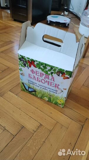 Детская Миниферма Тропических Бабочек ф/б-24