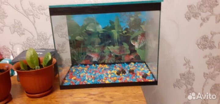 Украшение для аквариума