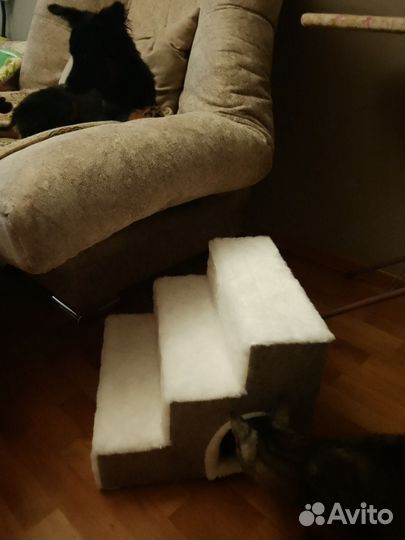 Лестница домик для животных