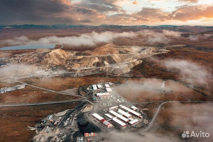 Сушильщик зиф