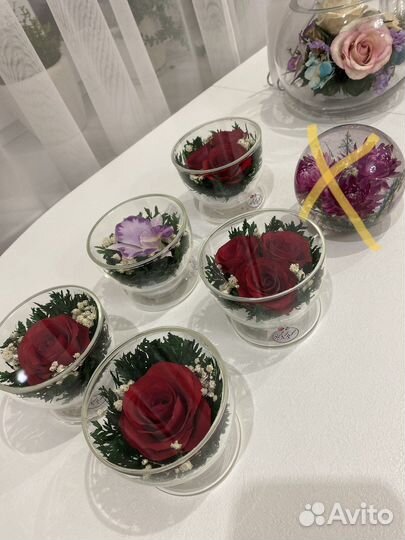 Живые цветы в стекле