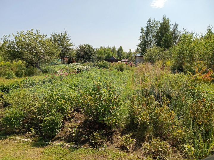 Участок 12 сот. (СНТ, ДНП)