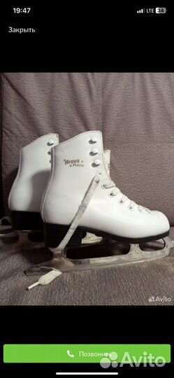 Коньки фигурные arosa prima graf