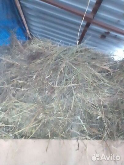 Сено в мешках есть доставка звоните