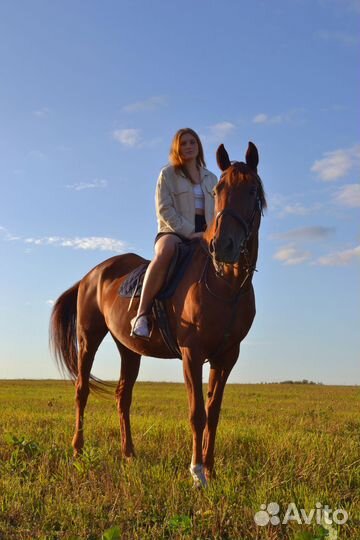 Катание на лошади,конные прогулки