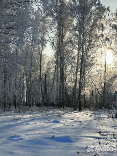 Отдых в лесном домике на опушке