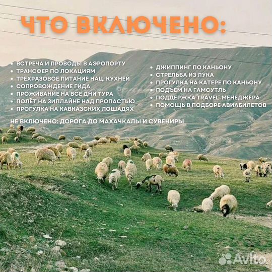 Тур в Дагестан в октябре