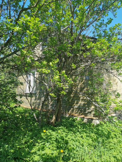 Участок 12 сот. (ИЖС)