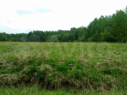 Участок 3,9 га (СНТ, ДНП)