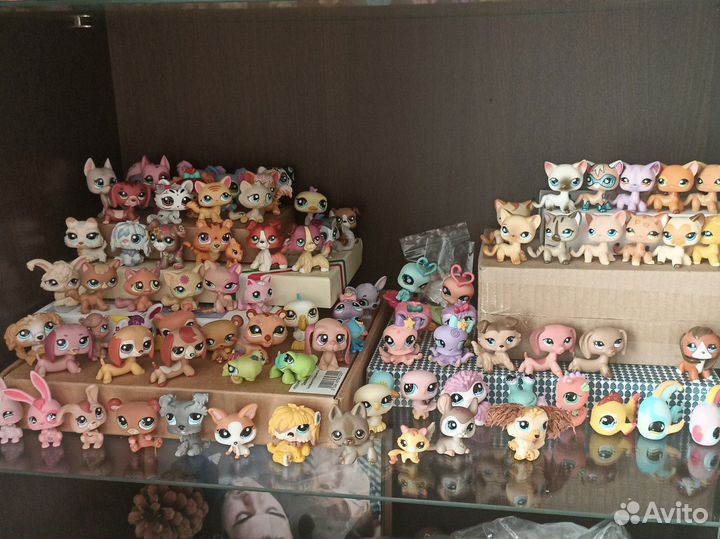 Littlest pet shop