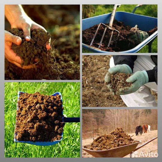 Торф, перегной, чернозем, навоз, песок