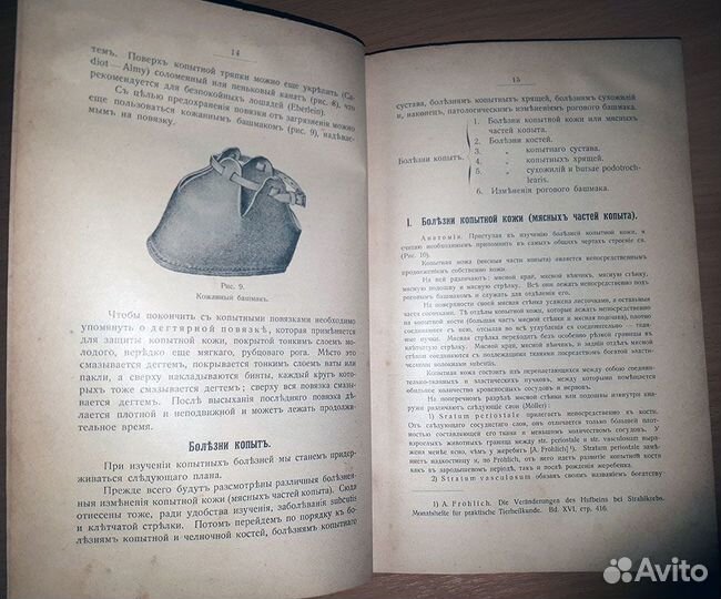 Болезни копыт лошадей 1911