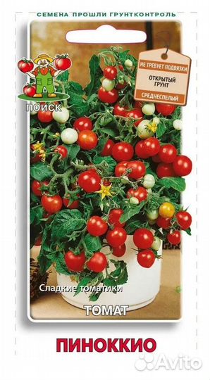 Рассада помидор черри