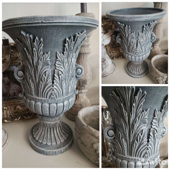 Вазон кашпо самшит саженец