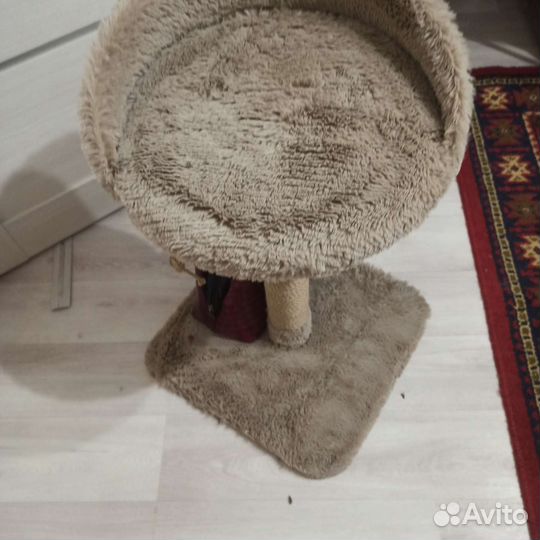 Когтеточка