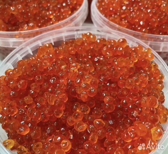 Икра красная 2023