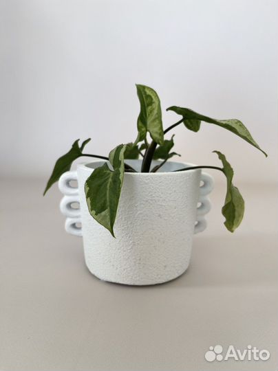 Кашпо ваза в стиле Бохо