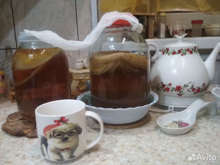 Чайный гриб меняю