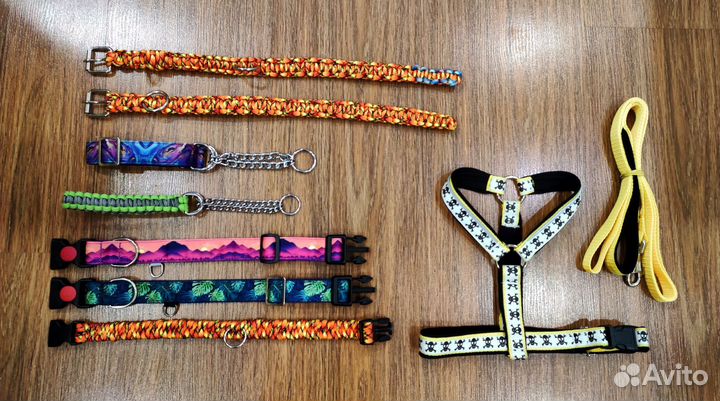 Амуниция и одежда для собак