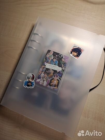 Альбом для карточек на кольцах