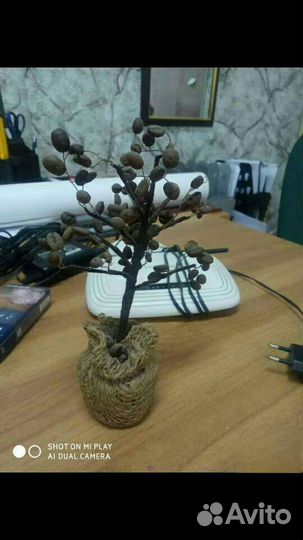 Кофейное дерево искуственное