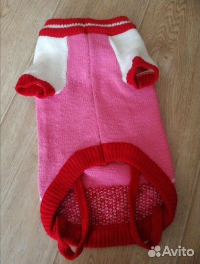 Одежда для животных