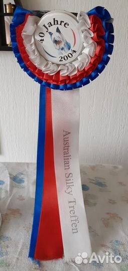 Кубок выставочный