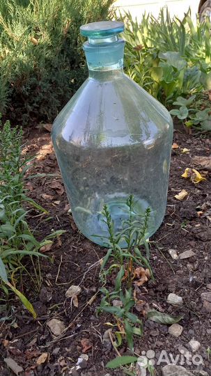 Бутыль стеклянная