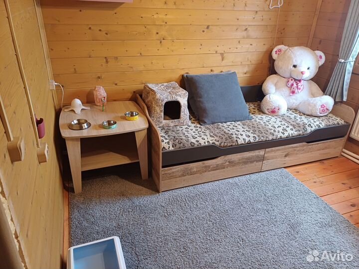 Передержка животных (домашняя зоогостиница)