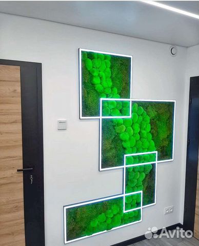 Мох стабилизированный фитокартина фитостена панно