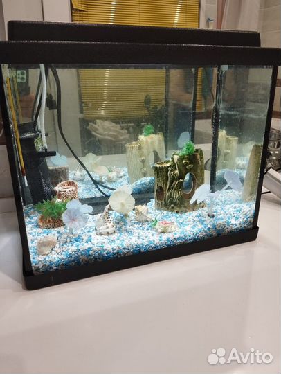 Аквариум со всем содержимым