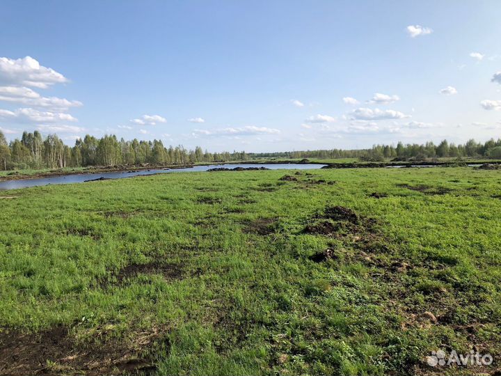 Торф верховой