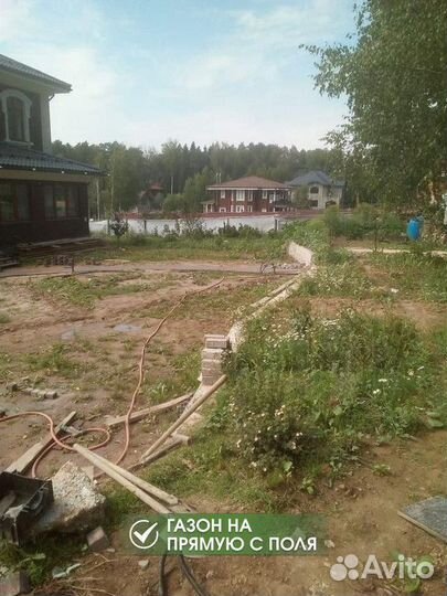 Рулонный газон с доставкой