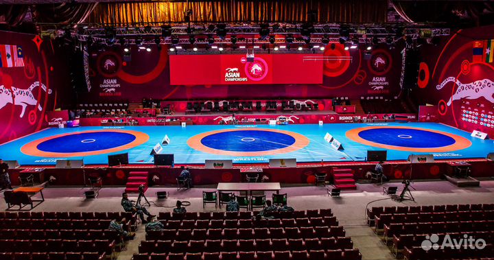 Борцовский ковер РФ