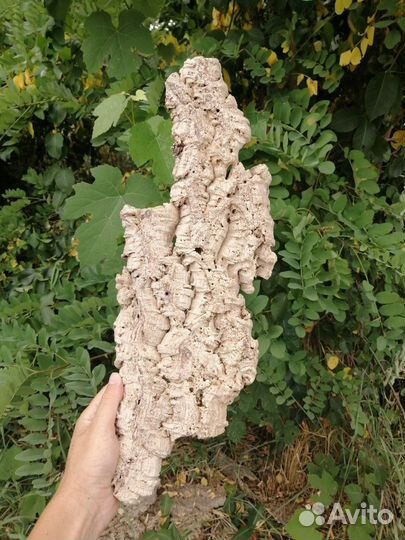 Кора пробкового дуба, лианы, лоза